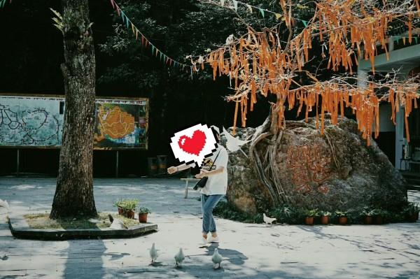 逃离弃城